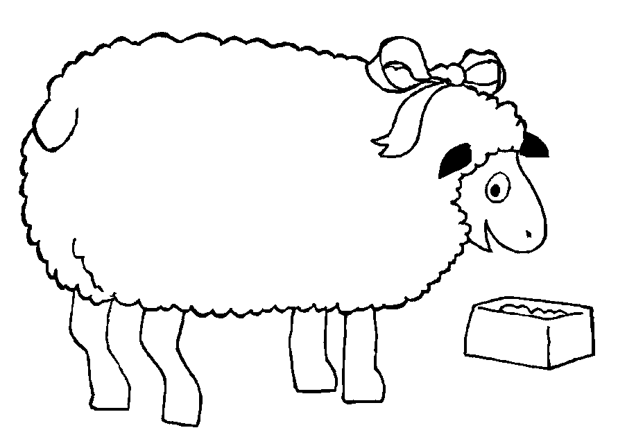 891x630 Sheep Outline Coloring Page 325905