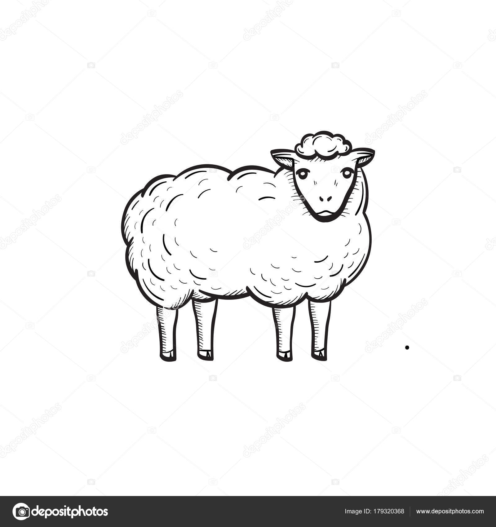 1600x1700 Sheep Hand Drawn Sketch Icon. Stock Vector Rastudio