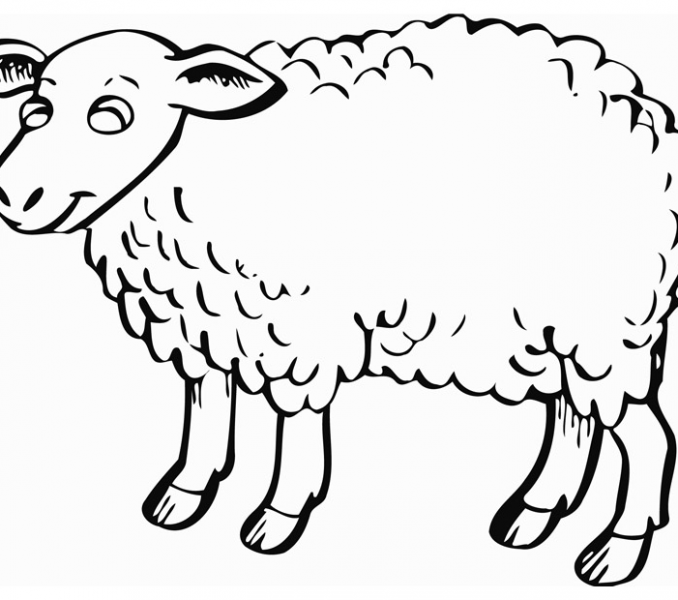 Sheep Outline Drawing at GetDrawings | Free download