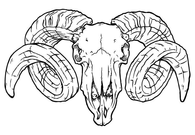 757x522 Illustration Maynerd Creative