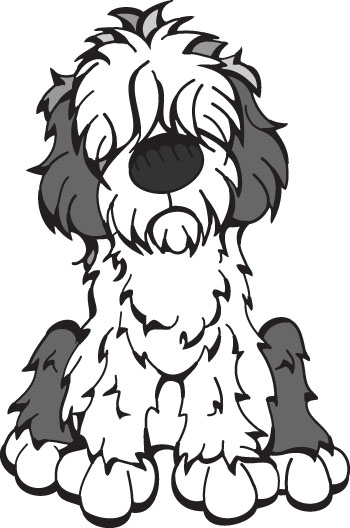 350x528 Old English Sheepdog Herding Group English