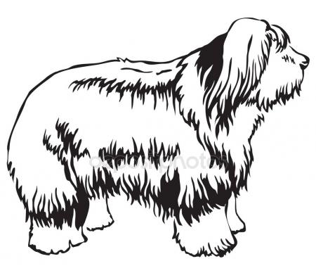 450x398 Old English Sheepdog Stock Vectors, Royalty Free Old English