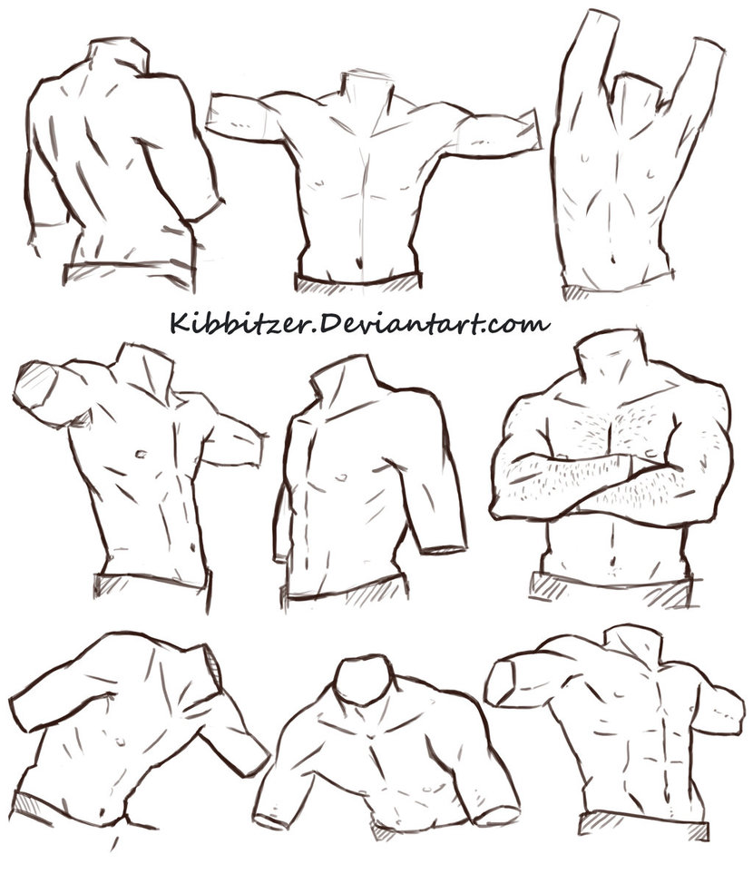 830x963 Male Torso Reference Sheet By Kibbitzer