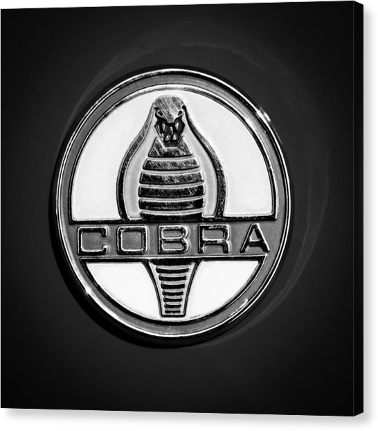 546x622 Shelby Cobras Canvas Prints