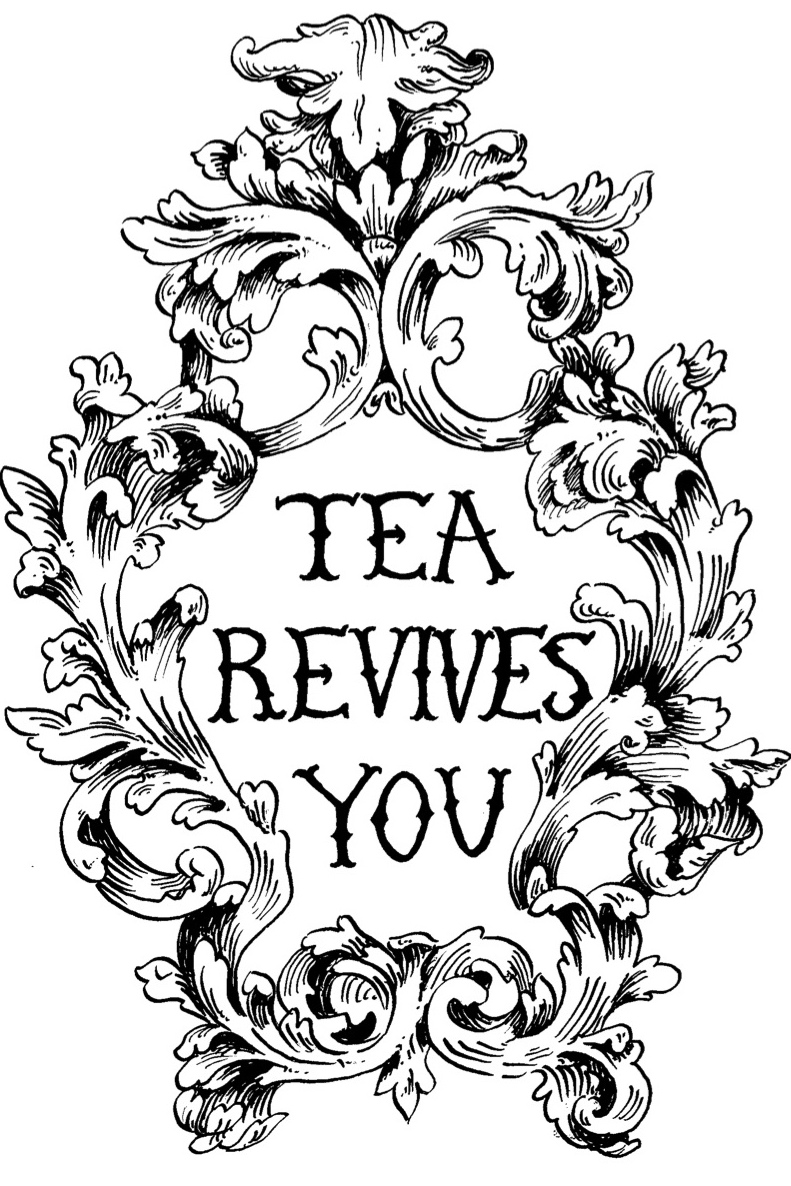 791x1186 A Molly Hatch Drawing! Might Be Nice Placed Next To My Shelf