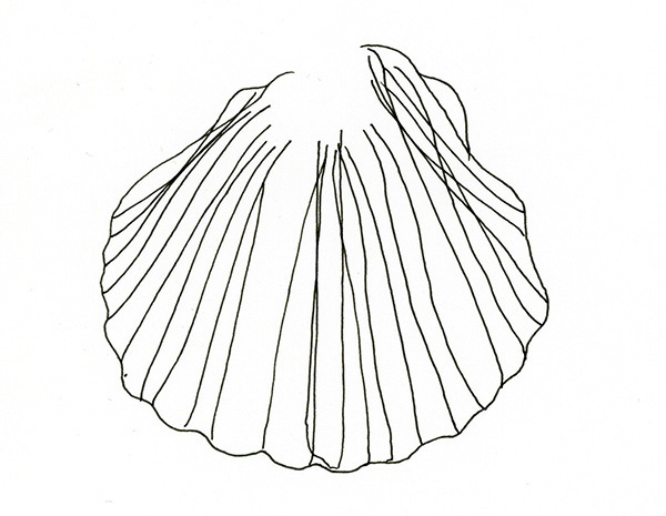 600x465 November's Blind Contour Drawings