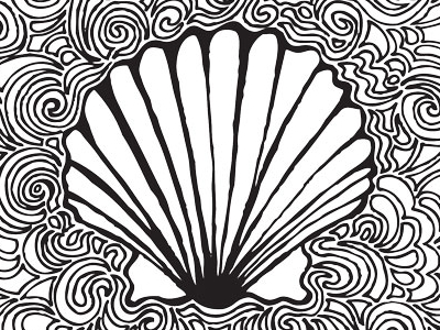 Draw a Scallop Shell in Six Steps - Carol's Drawing Blog