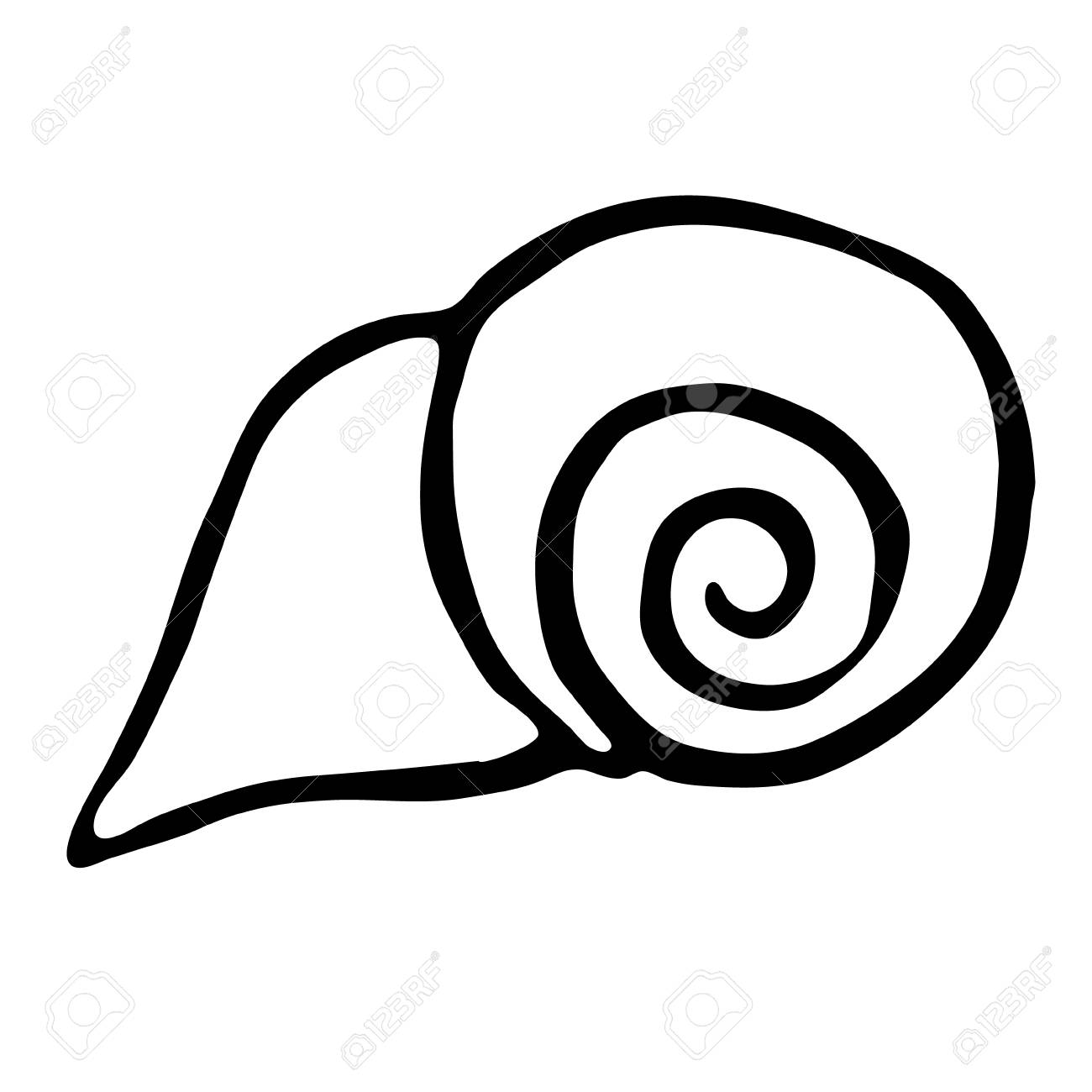 1300x1300 Sea Shell. Vector Illustration. Drawing By Hand. Royalty Free