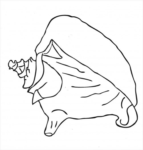 502x526 Simple Conch Shell Coloring Drawing Redgage