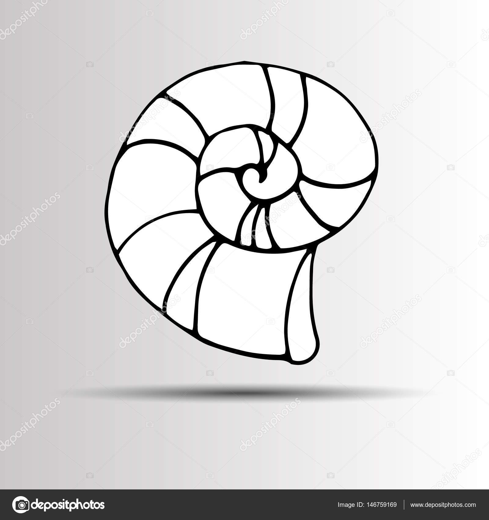 1600x1700 Vector Set With Sea Shell Sketch Isolated On White. Seashells. Set