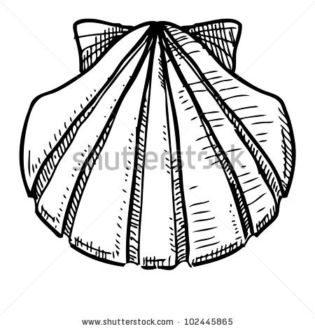 450x470 How Draw Conch Shell Save A Lightbox Please Login