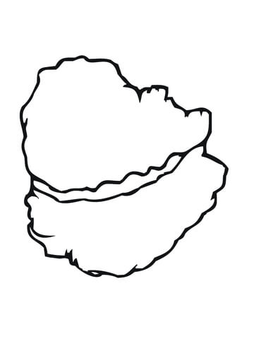 360x480 Oyster Shell Coloring Page Free Printable Coloring Pages
