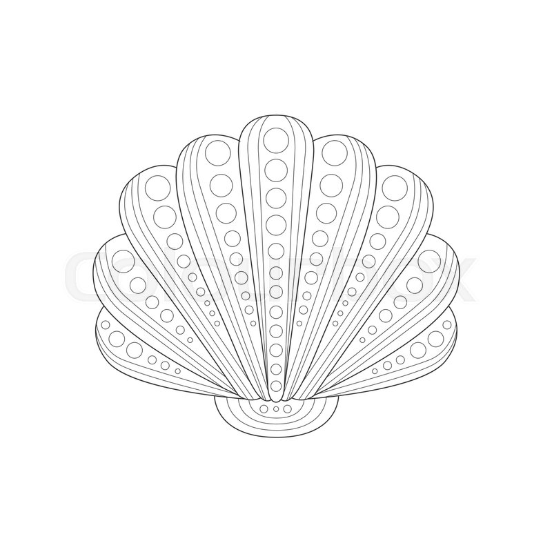 800x800 Clam Shell Sea Underwater Nature Adult Black And White Zentangle