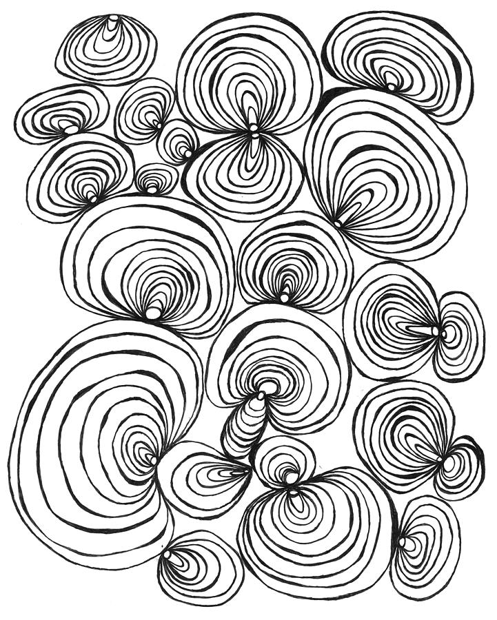 721x900 Concentric Shells Drawing By John Ricker