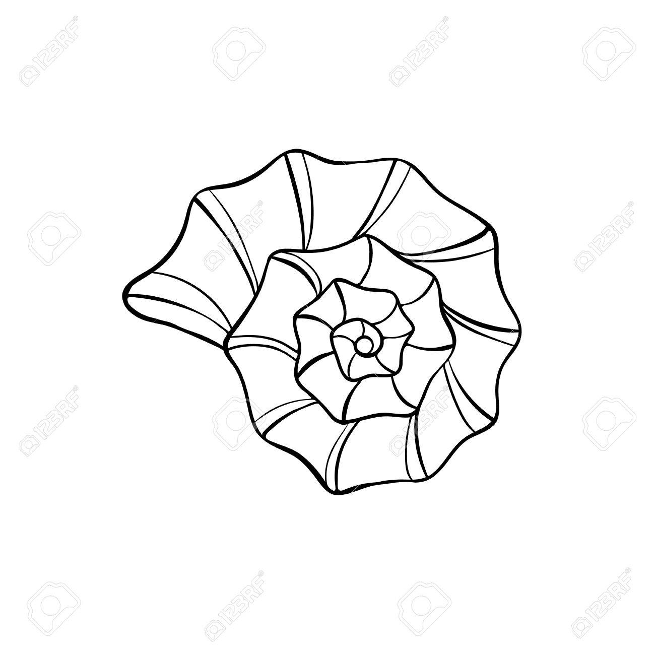 1300x1300 Hand Drawn Sea Shell. Shellfish Outline. Seashell Icon In Black