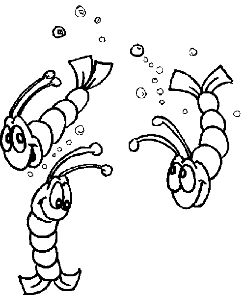 499x600 Shellfish Coloring Pages