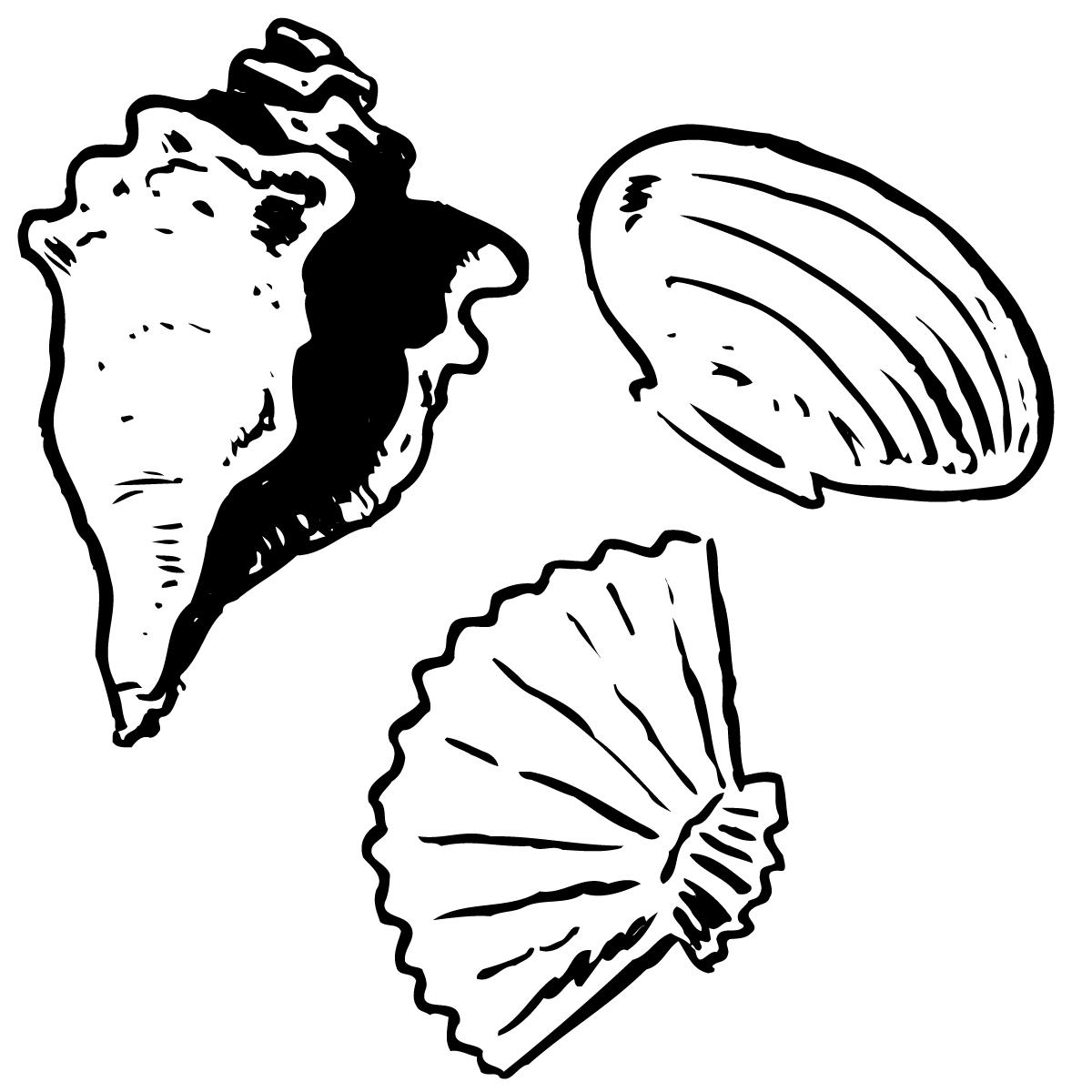 1200x1200 Hd Shells Clip Art Seashell Cartoon Clipart Vector Drawing