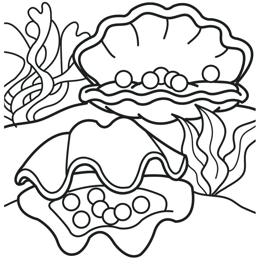 842x842 Sea Shells Coloring Pages Sea Shells Coloring Pages Free Shell