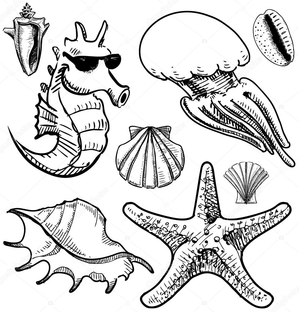 980x1024 Sea Animals And Shells Collection Icon Isolated On Vintage