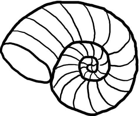 475x393 Shell Clip Art