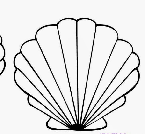 600x558 22 Best Shell Tattoo Images On Shells, I Am And Image