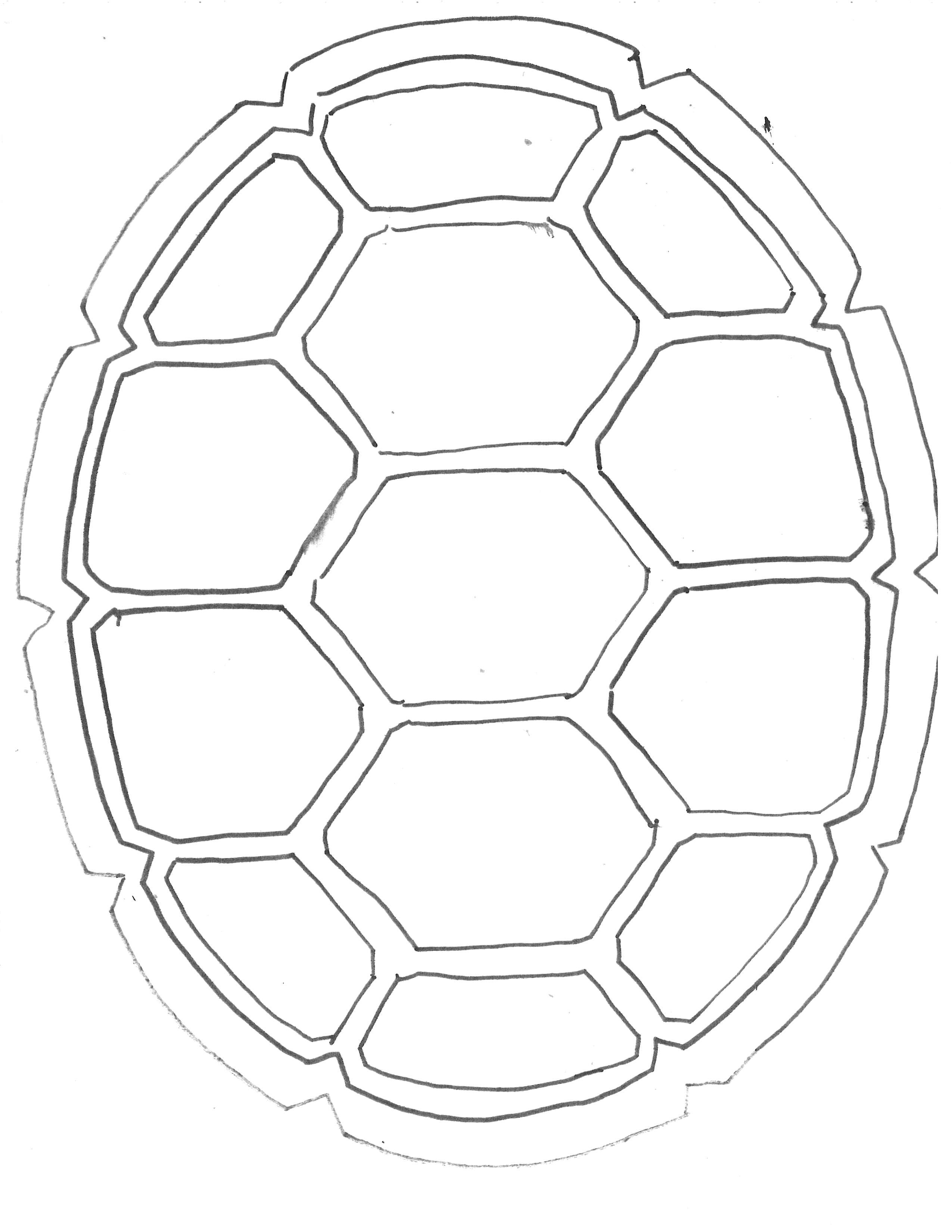 2550x3300 Turtle Shell Drawing