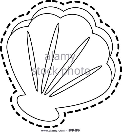 494x540 Beaches Turks And Caicos Shells