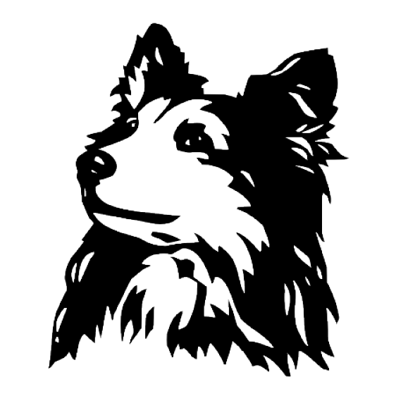 562x562 Hunde Wandtattoo Sheltie