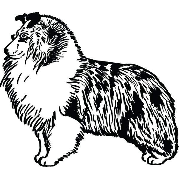 600x600 Sheltie Clipart Group