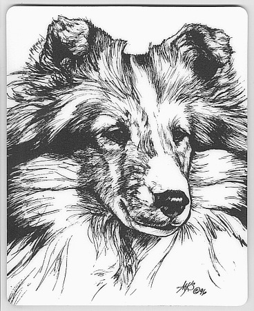 368x451 The Sheltie Rescue Shop