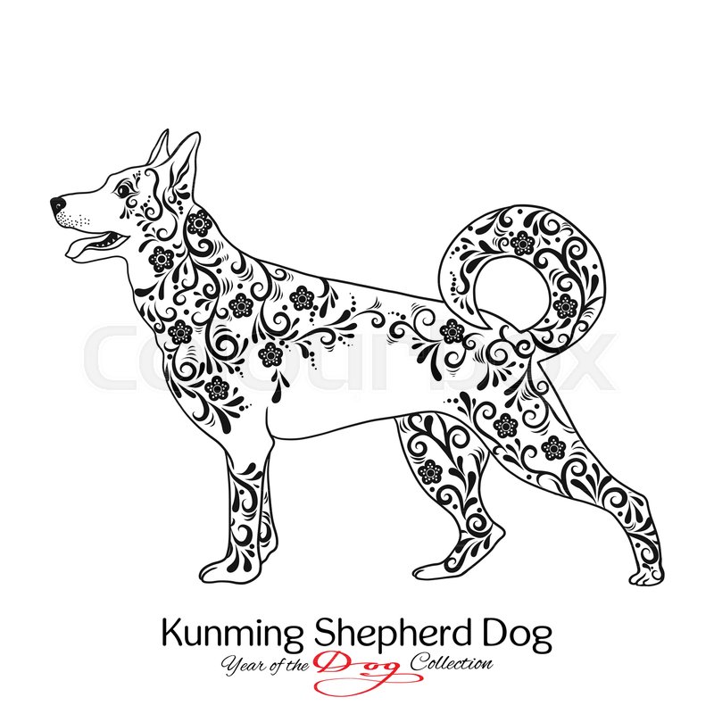 800x800 Kunming Shepherd Dog. Black And White Graphic Drawing Of A Dog