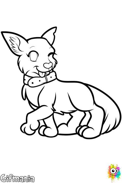 480x720 Shepherd Dog