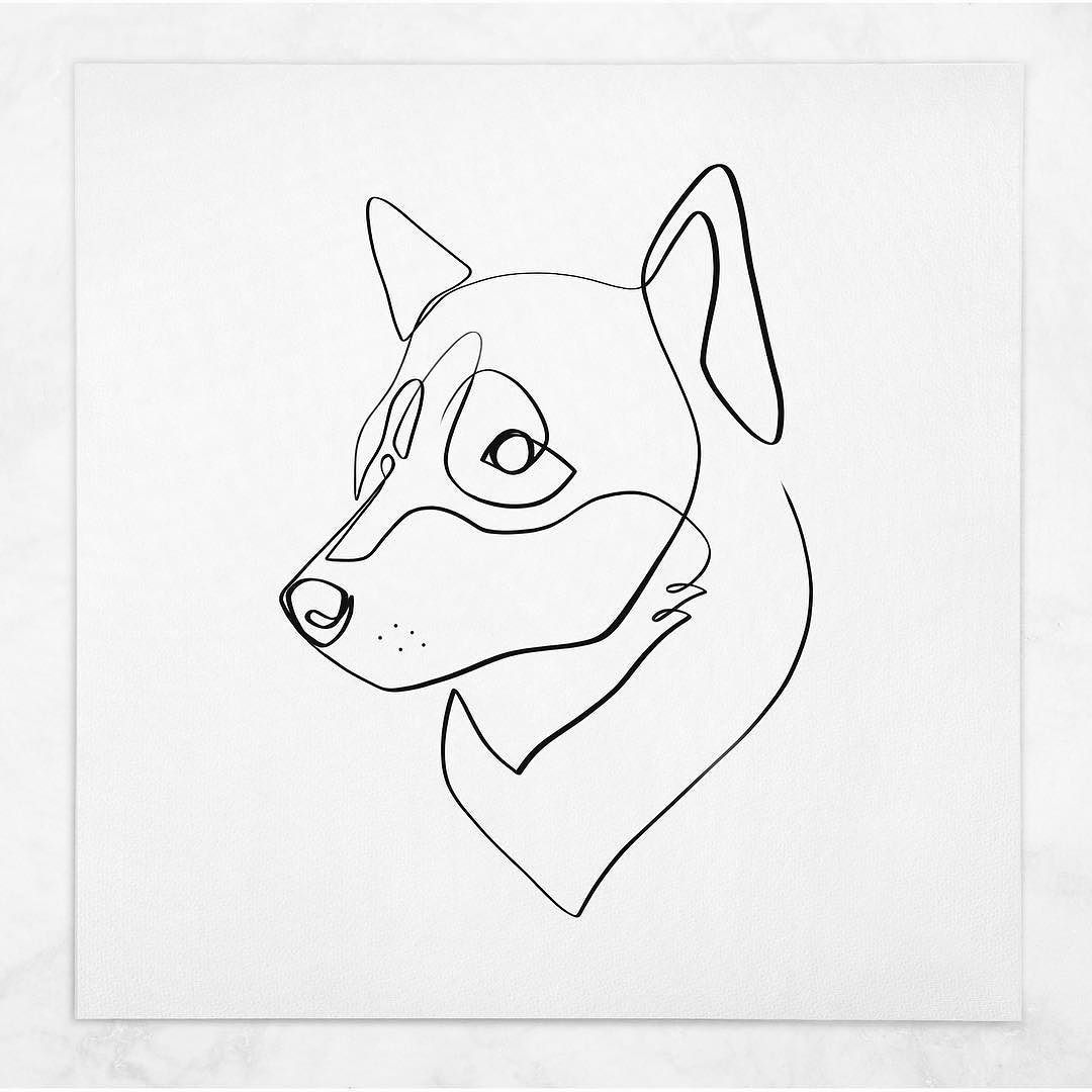 1080x1080 The Shiba Inu