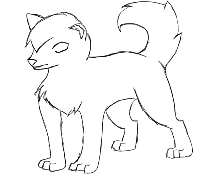 Shiba Drawing at GetDrawings | Free download