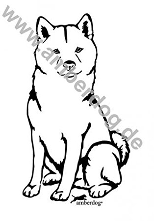 314x450 Shiba Inu Wall Tattoo No. T0248, Plastic, 30 X 20 Cm Amazon.co.uk
