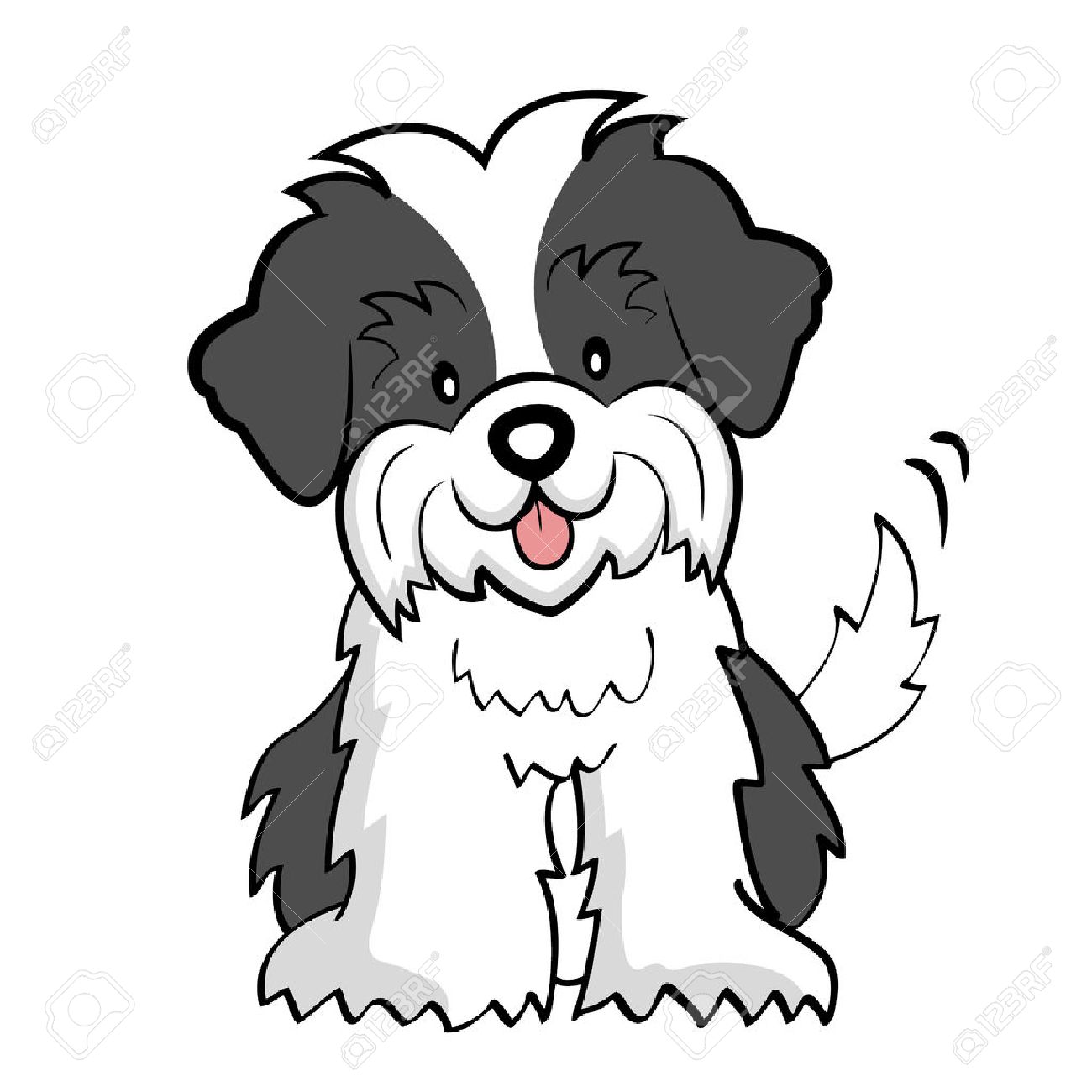 1300x1300 Puppy Cut Shih Tzu Isolated Royalty Free Cliparts, Vectors,