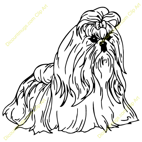 500x500 Shih Tzu Coloring Page