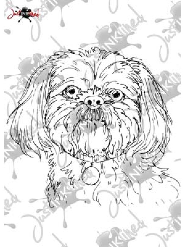 600x800 Stamp Shih Tzu