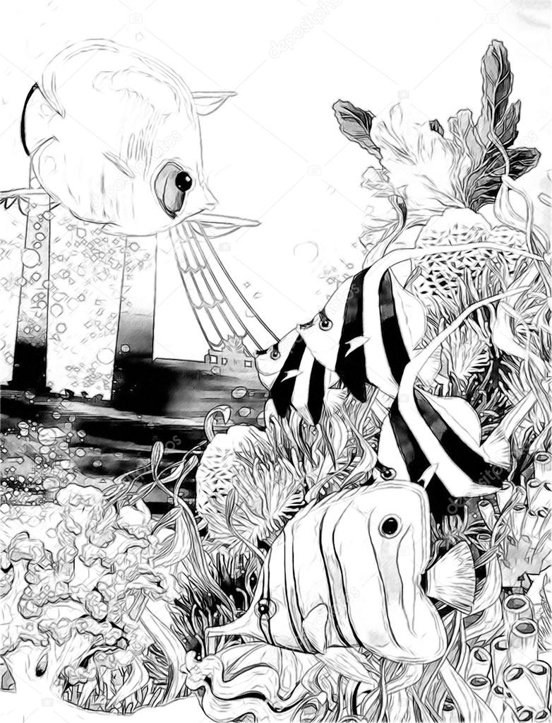 782x1023 Coral Reef With Ship Wreck