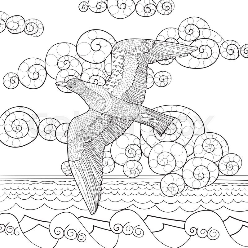 800x800 Flying Seagull With High Details. Adult Antistress Coloring Page