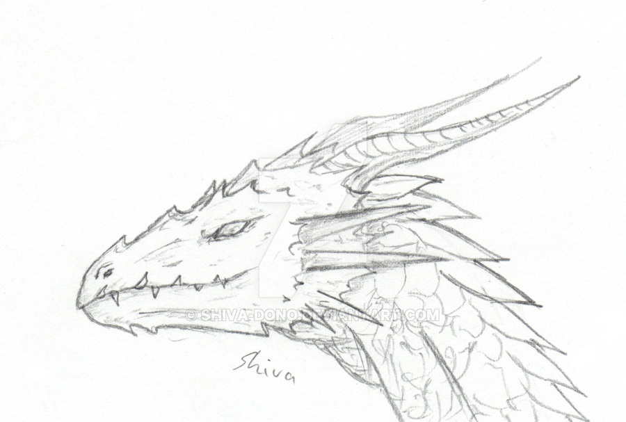900x607 Dragon Head Sketch By Shiva Dono