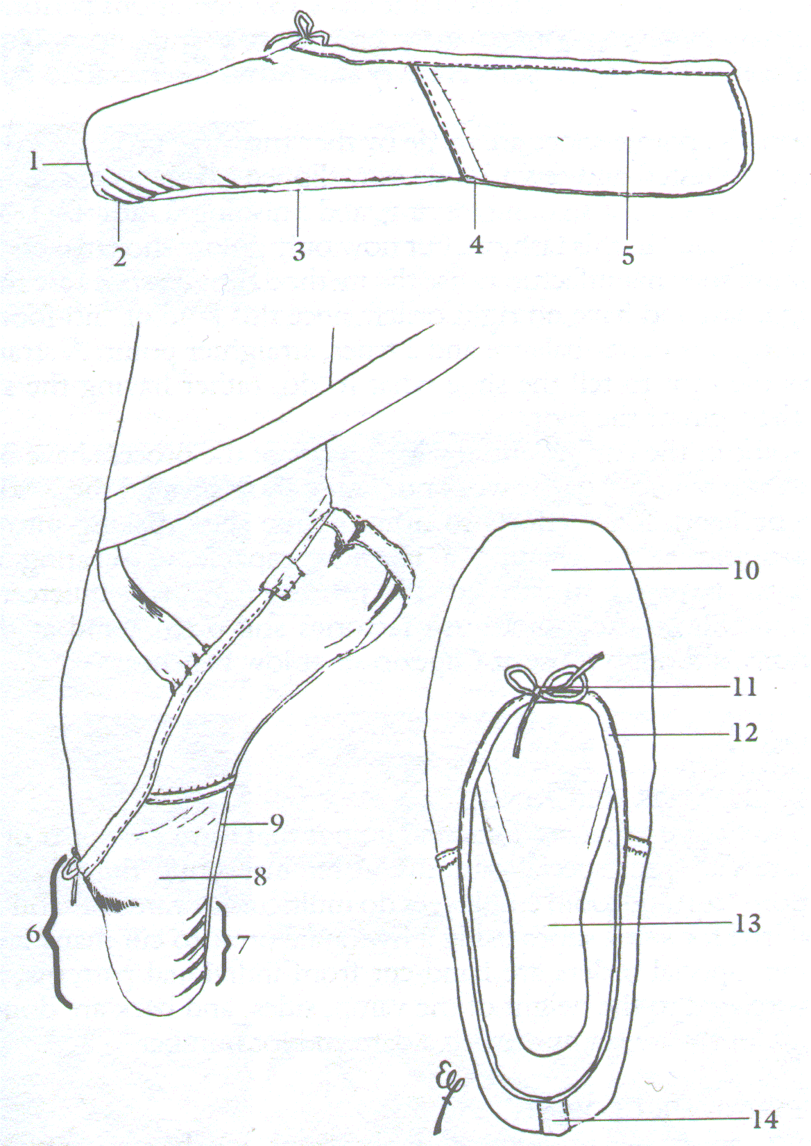 1169x1652 Anatomy Of A Point Shoe The Ballet Studio