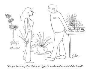 300x242 Shopping Drawings