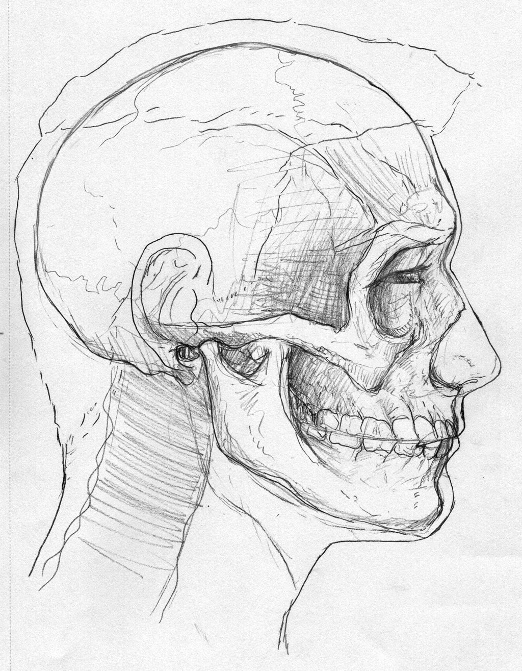 1024x1315 Me And My Skull Side Shot By