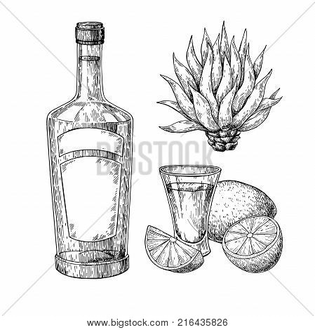 449x470 Tequila Shot Images, Illustrations, Vectors
