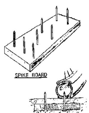 300x380 Earth First's Death Manual