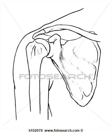 391x470 Shoulder Clipart Clipart Panda