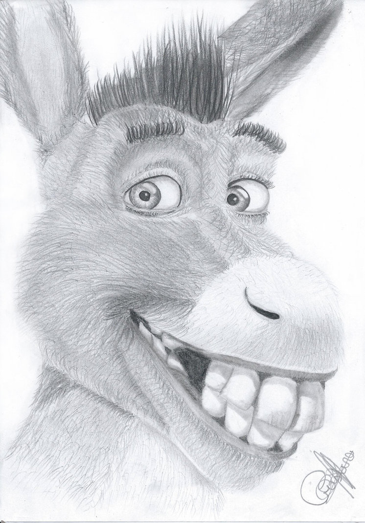 Shrek Donkey Drawing at GetDrawings.com | Free for personal use Shrek