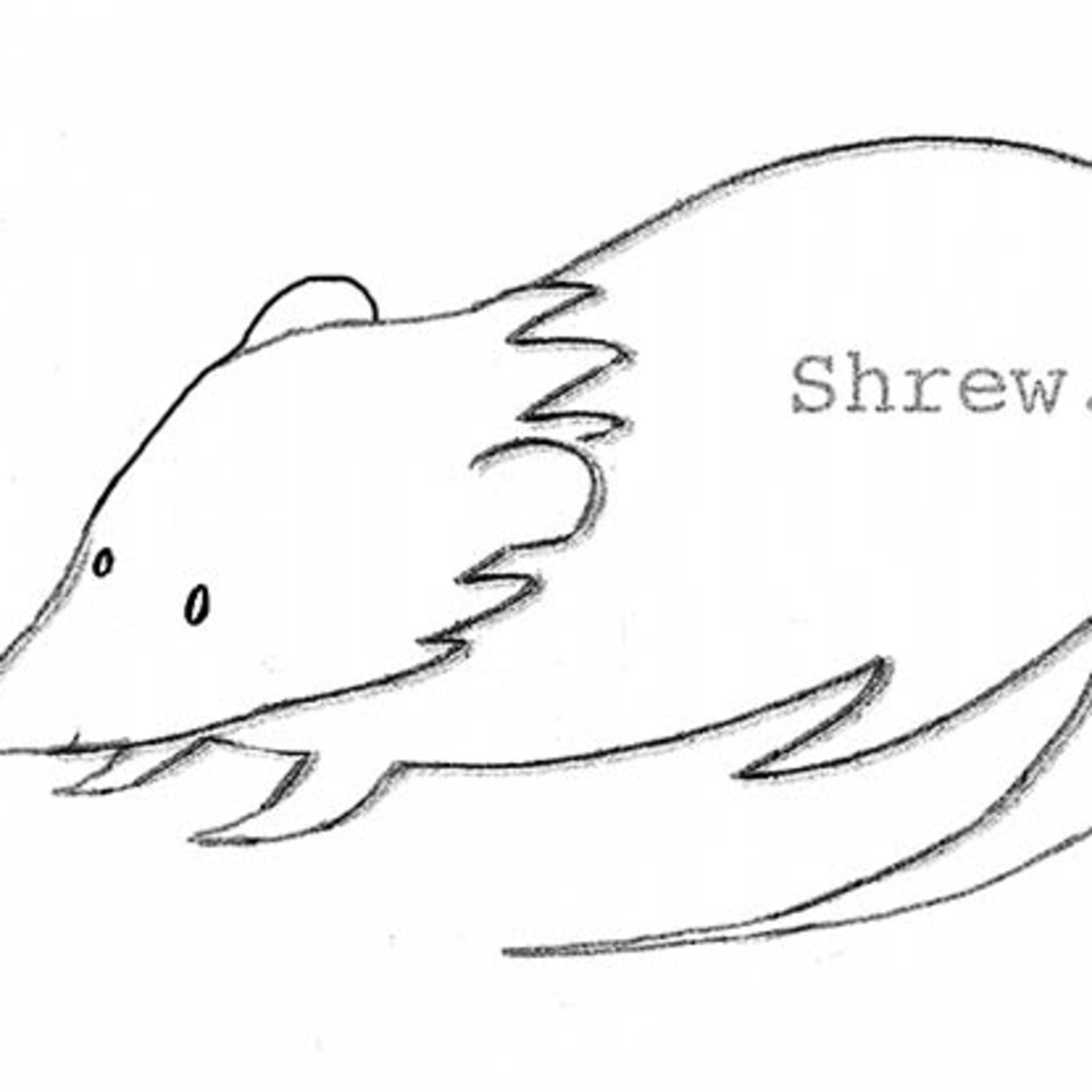 2500x2500 Shrew.