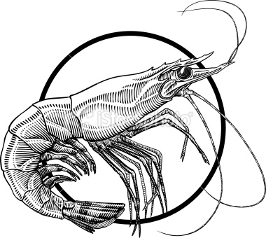380x340 Black And White Engraving Illustration Of Shrimp. Circle Frame Can